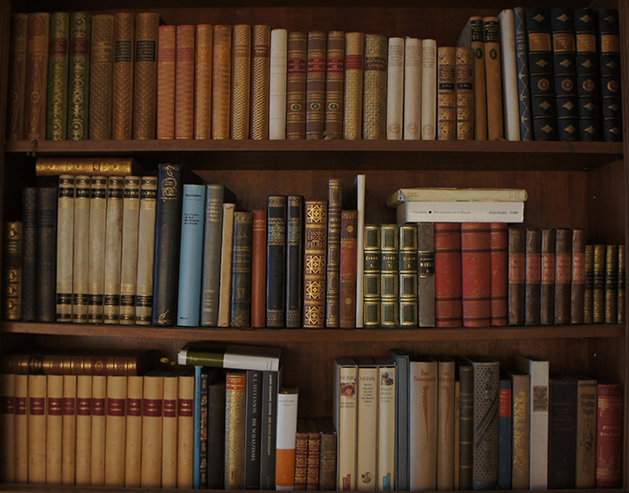 Bücherregal, antiquarische Bücher